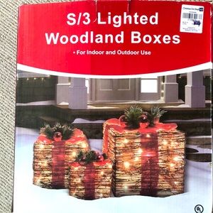 Lighted woodland boxes for Christmas.